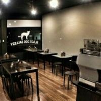 Inside cafe at Black Dog Gallery in Tusmore