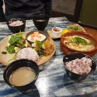 Delicious at Black Dog Gallery in Tusmore