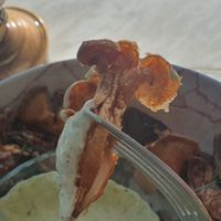 Fried mushrooms at Kindred in San Diego