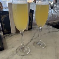 mimosa   at Kindred in San Diego