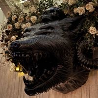 Money in the mouth goes to a wolf sanctuary!  at Kindred in San Diego