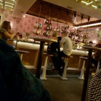 bar  at Kindred in San Diego