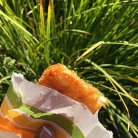 Hashbrown $1.95 at Plant Power Fast Food - Ocean Beach in San Diego