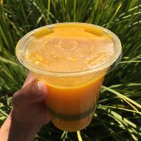 Orange Juice $3.50 at Plant Power Fast Food - Ocean Beach in San Diego
