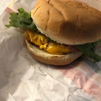 Filet of fish at Plant Power Fast Food - Ocean Beach in San Diego