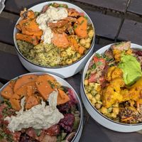  at Sprout in Dresden