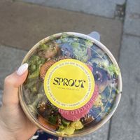   at Sprout in Dresden