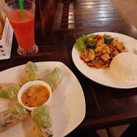 Vegan fresh spring rolls and a vegan khmer meal at My Little Cafe in Siem Reap