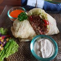 Vegan arapa burrito at Sage in Ubud