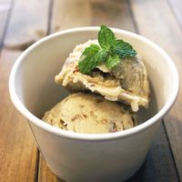 Vegan rum raisin ice cream at Ain Soph.Ripple Kabukicho in Tokyo