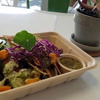 vegan quesadillas  at Organically Twisted in Naples