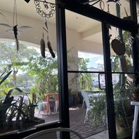   at Organically Twisted in Naples