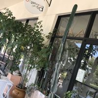 Front of Oeganically Twisted at Organically Twisted in Naples