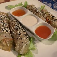 Rice paper rolls at Gallery House of Hummus in Koh Phangan