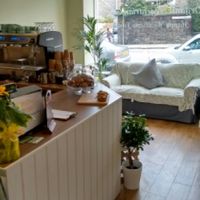 lots of light at Organic Delicious Cafe in Edinburgh