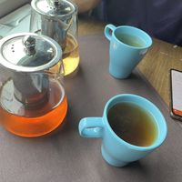 El Diablo tea & Abundance of Happiness  at Veg Cafe in Sacramento