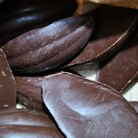 Ended up getting the smallest serving of pure dark chocolate which was still 3500 colones (over 5$) at Chocolate Fusion Cafe in La Fortuna