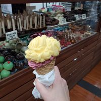 Vegan Gelato - blackberry is so good!!! at Chocolate Fusion Cafe in La Fortuna