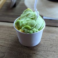Two scoops in a cup. Cones are not definitively vegan (they don't know) at Chocolate Fusion Cafe in La Fortuna