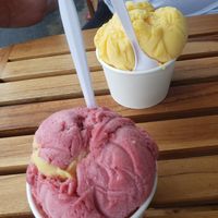 Blackberry and passionfruit sorbet at Chocolate Fusion Cafe in La Fortuna