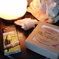 Dark Artisan Chocolate at Chocolate Fusion Cafe in La Fortuna