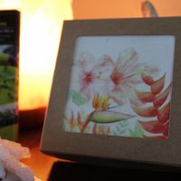 Local Artwork on Chocolate Box at Chocolate Fusion Cafe in La Fortuna