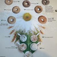   at Bagels & Beans - Hoogstraat in Rotterdam