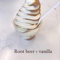 Ice cream at Vegan Treats Bakery in Bethlehem