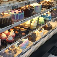 Look at all the goodness at Vegan Treats Bakery in Bethlehem