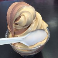 chocolate and salted caramel twist, YUM at Vegan Treats Bakery in Bethlehem