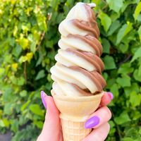 Chocolate & Marshmallow ice cream  at Vegan Treats Bakery in Bethlehem