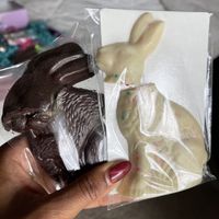How my $100+ bunnies arrived  at Vegan Treats Bakery in Bethlehem