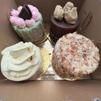 Cupcakes   at Vegan Treats Bakery in Bethlehem