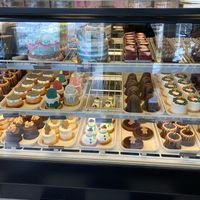 the display case around Christmas at Vegan Treats Bakery in Bethlehem