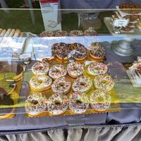  at Vegan Treats Bakery in Bethlehem