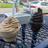 Peanut butter soft serve and brownie batter soft serve at Vegan Treats Bakery in Bethlehem