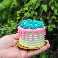  at Vegan Treats Bakery in Bethlehem