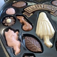 The Kitty Ghosts Are Too Cute to Eat!!! 💖✨✨✨  at Vegan Treats Bakery in Bethlehem