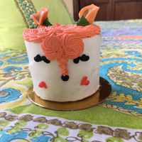 Fox Confetti Cake at Vegan Treats Bakery in Bethlehem