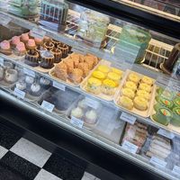 Spring 2026.  at Vegan Treats Bakery in Bethlehem