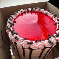 Raspberry Chocolate Mouse at Vegan Treats Bakery in Bethlehem