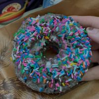 Chocolate donut at Vegan Treats Bakery in Bethlehem