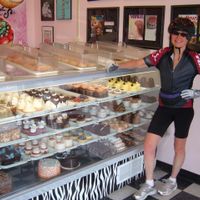 amazing selection of beautiful vegan treats at Vegan Treats Bakery in Bethlehem