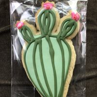 Cactus sugar cookie  at Vegan Treats Bakery in Bethlehem