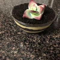 Dirt cup at Vegan Treats Bakery in Bethlehem