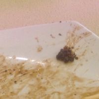 A pile of whole peppercorns from the black pepper udon at Food Republic - Food Stall in Kuala Lumpur