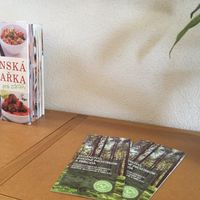 Shelf  at Made with Laf in Bratislava