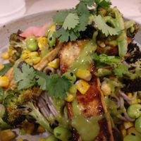 tofu bowl at Hunters' Roots in Melbourne