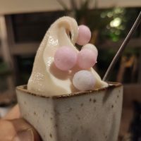 Spill ice cream at Shojin Cafe Foi - Nishikuginukicho in Wakayama