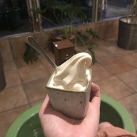Soft vegan ice cream and a foot spa!!!  at Shojin Cafe Foi - Nishikuginukicho in Wakayama